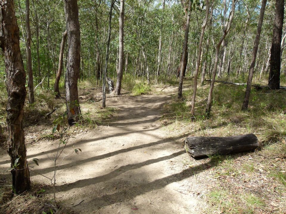 P1140007.jpg